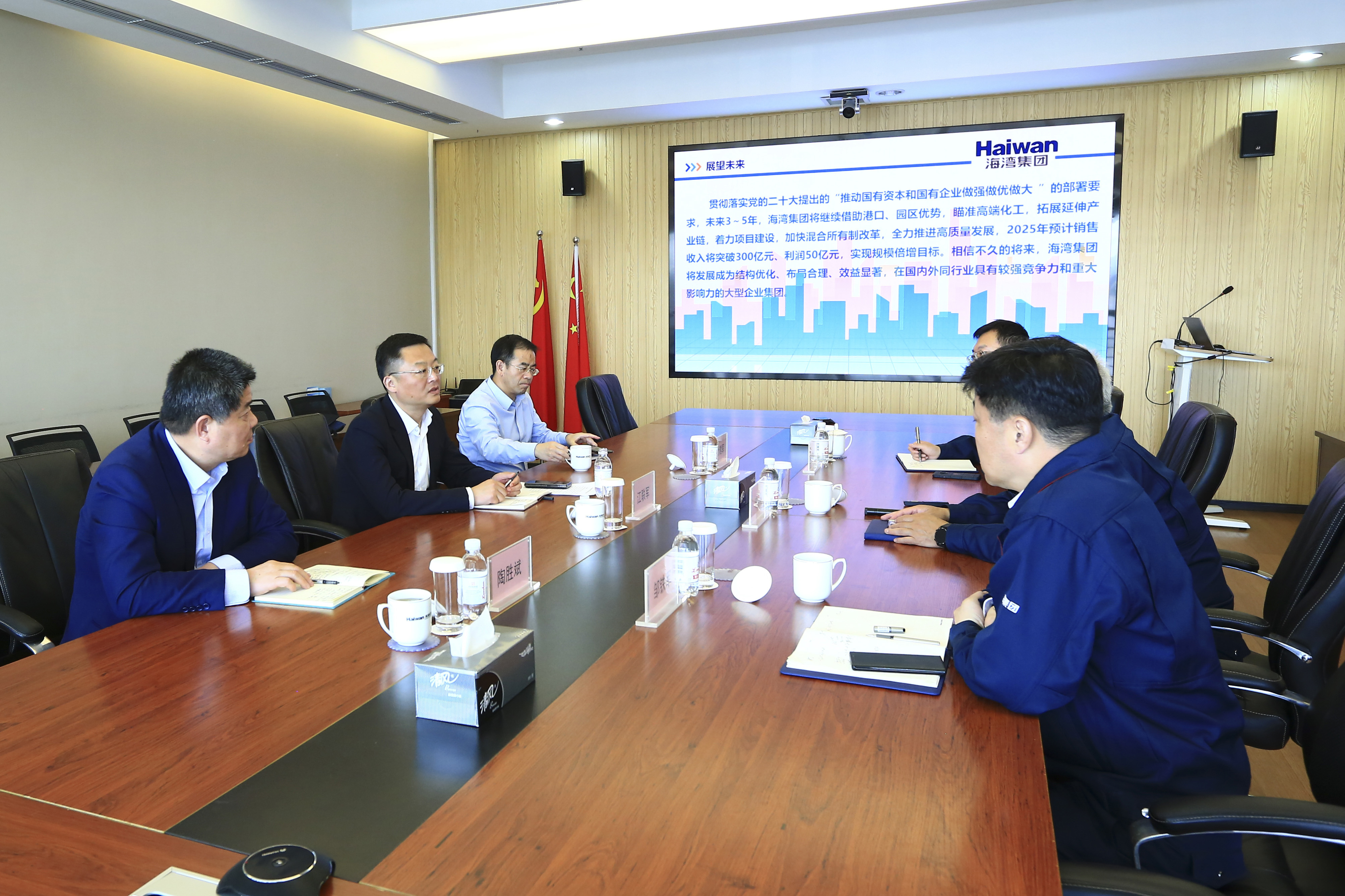 市政府副秘(mi)書長到海灣化(huà)學調研